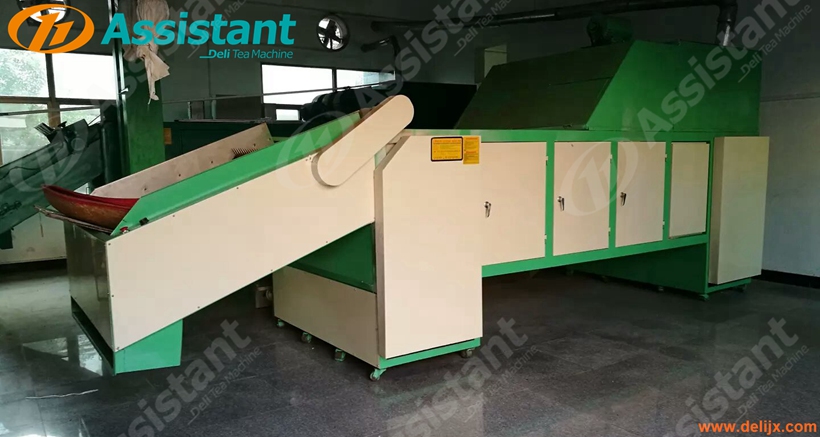 Chain Plate Continuous Belt Type Tea Leaf Dryer Machine Manufacturer 6CHL-CY