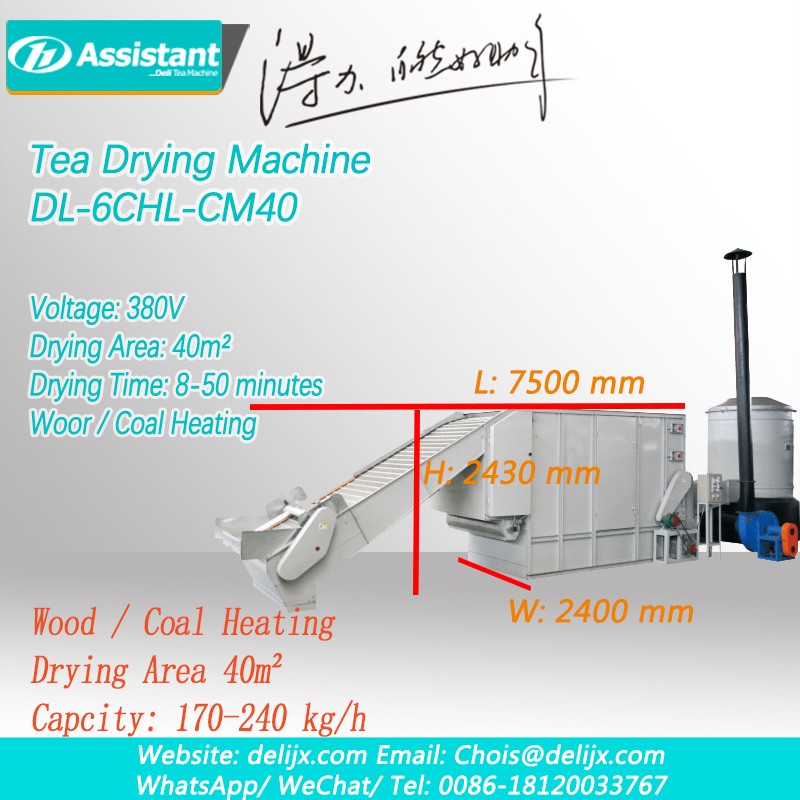 Wood And Coal Heating Chain Plate Type Tea Dryer Machine China Manufacturer 6CHL-CM