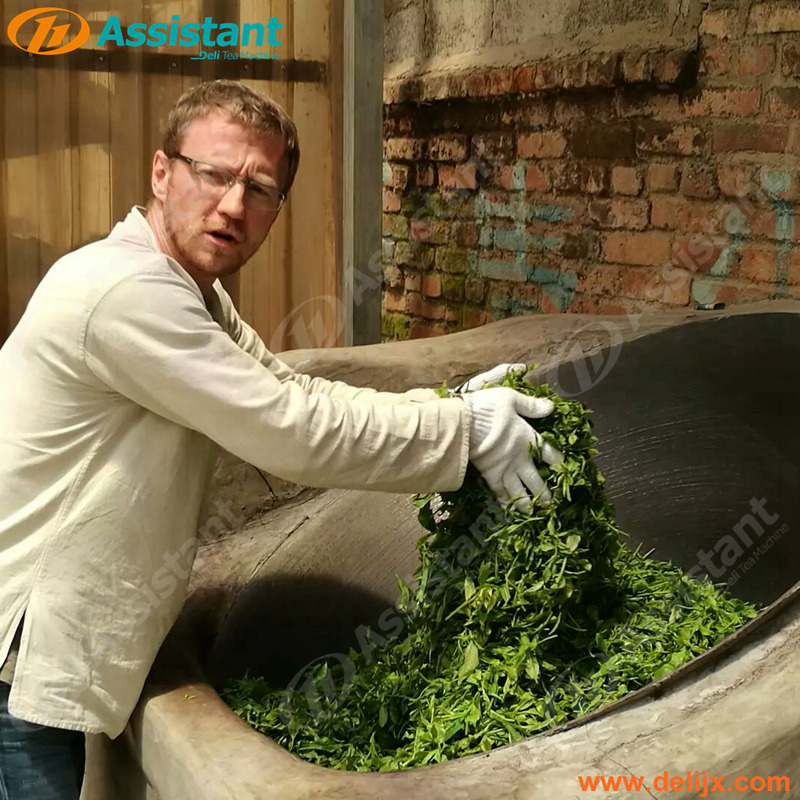 Green Tea Hand Firing Frying Machinery Tea Leaf Hand Roasting Panning Processing Equipment 6CSG-60B