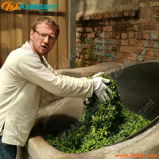 Green Tea Leaf Roaster Firing Machinery Tea Hand Panning Processing Machinrey 6CSG-60B
