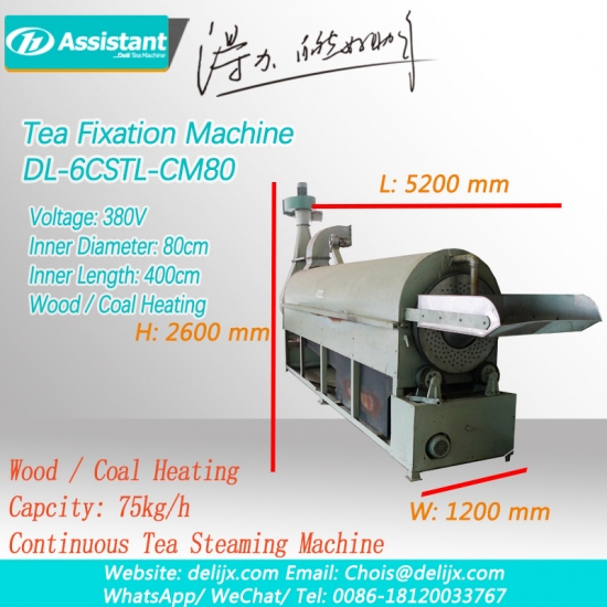 Green Tea Leaves Fixation Processing Machine Wood Coal Heating Continuous Belt Type