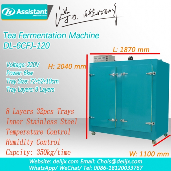 Tea Oxidation Steps Black Tea Fermentation Requirements Tea Fermenting Cabinet